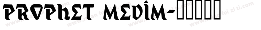 prophet medim字体转换